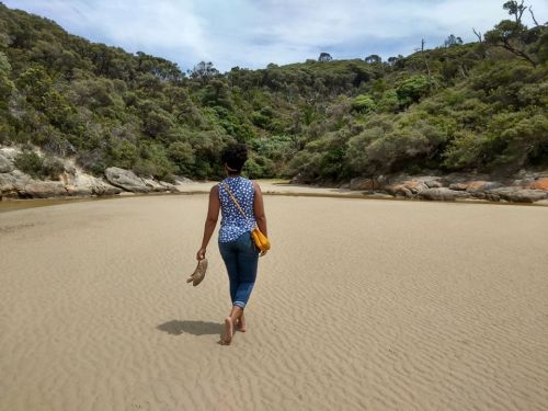 48406629_2278233819075389_584646869775286272_n