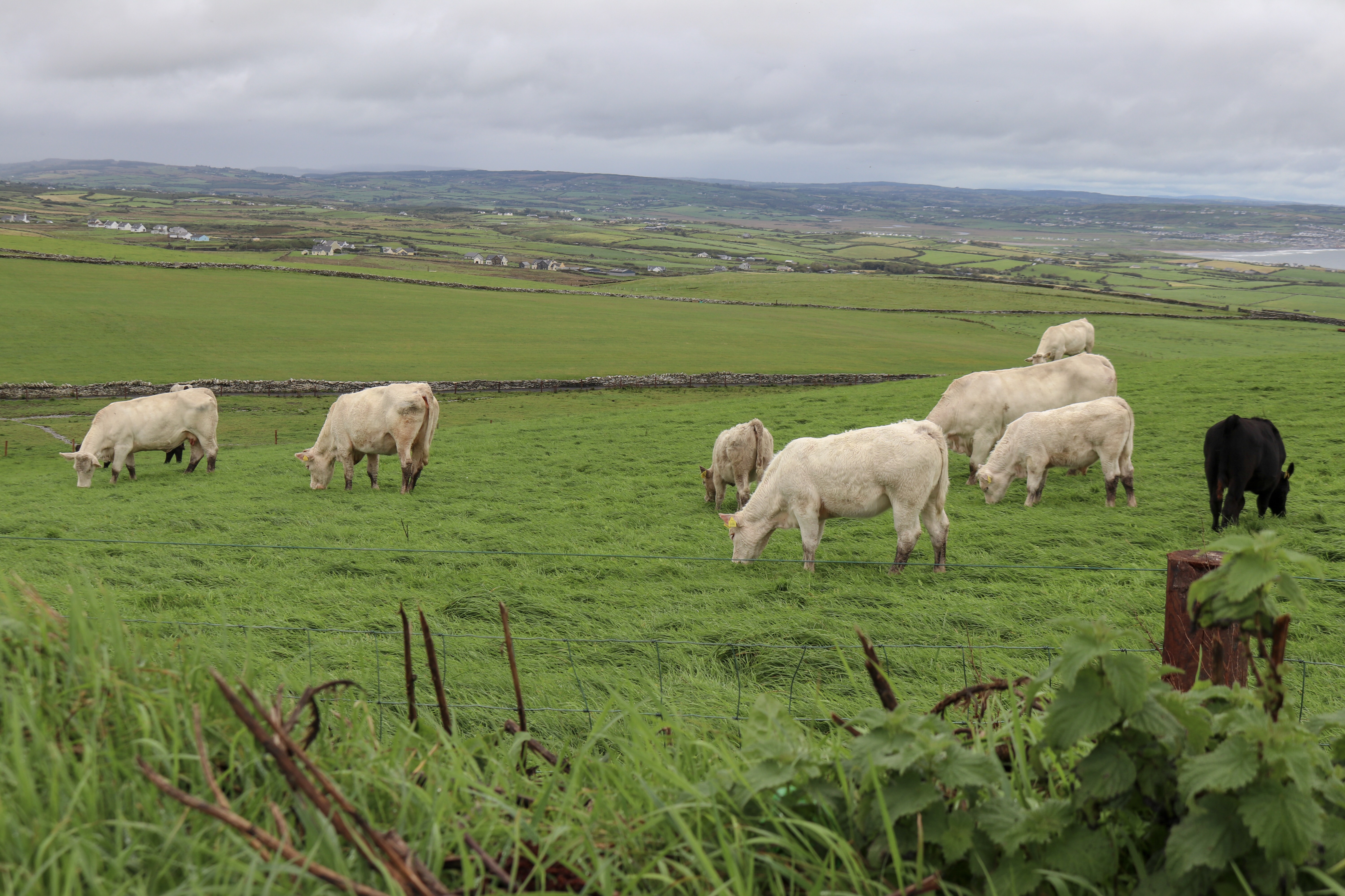 7518583648_img_4909-1