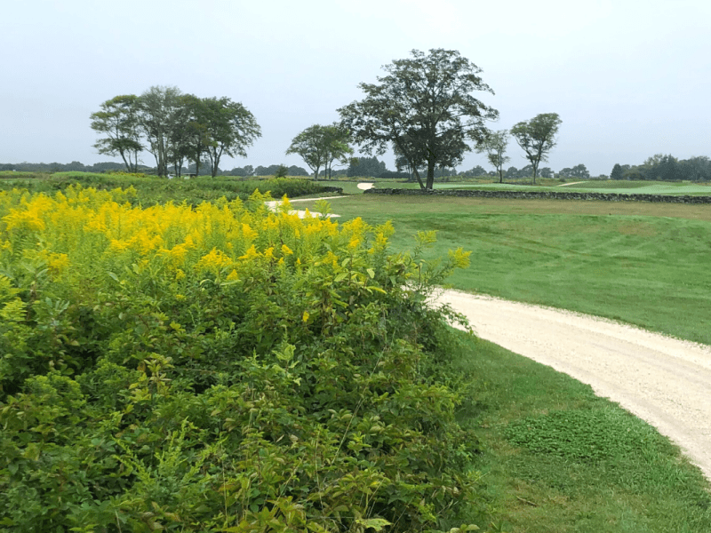 2021 Update: 30 (Be)for&nbsp;30